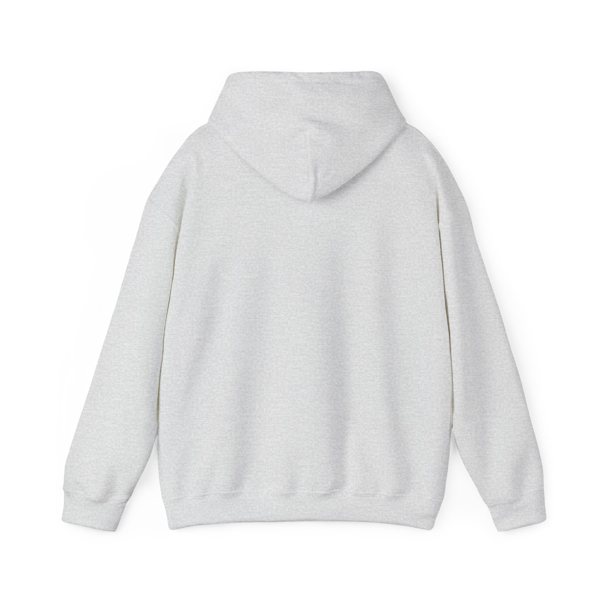 Isaiah 41:10 Hoodie