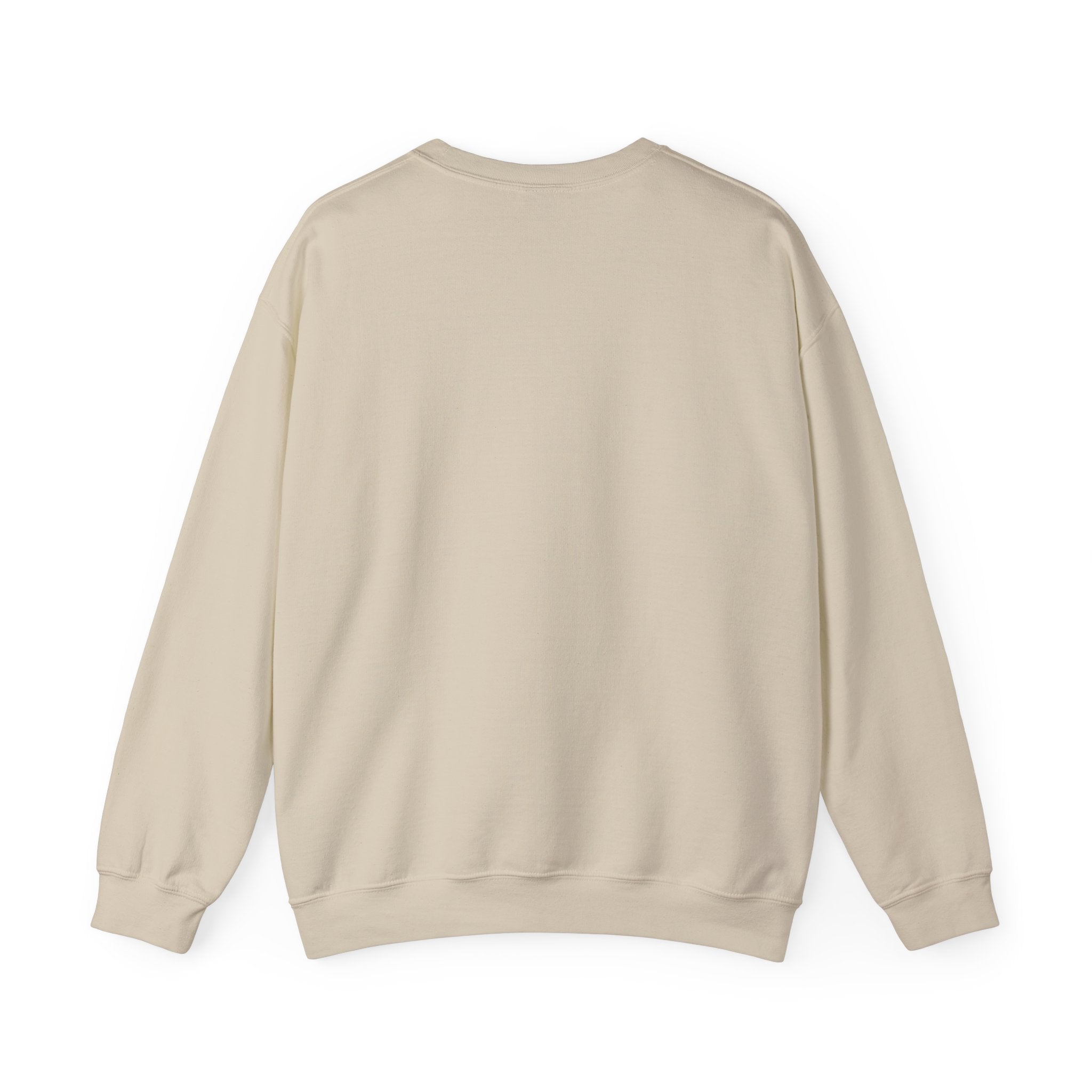 It's Okay Hummingbird Crewneck Sweater