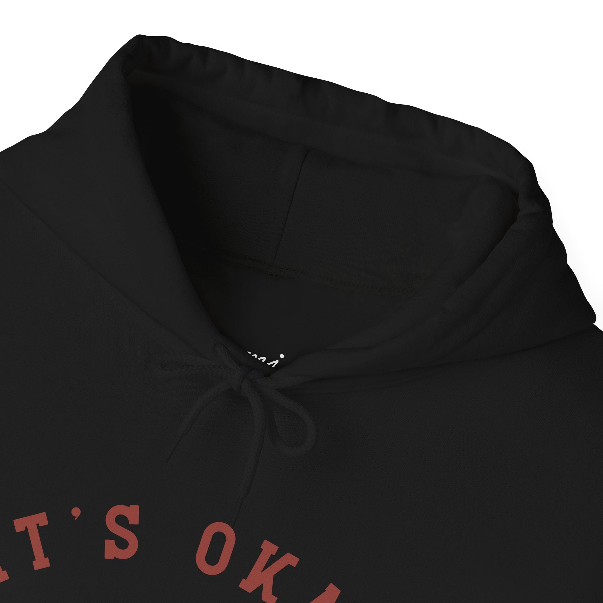 Isaiah 41:10 Hoodie