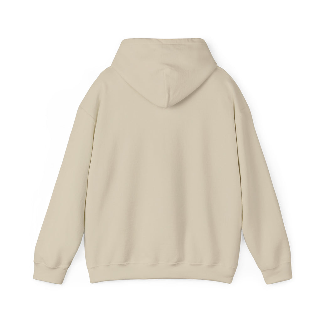 Isaiah 41:10 Hoodie