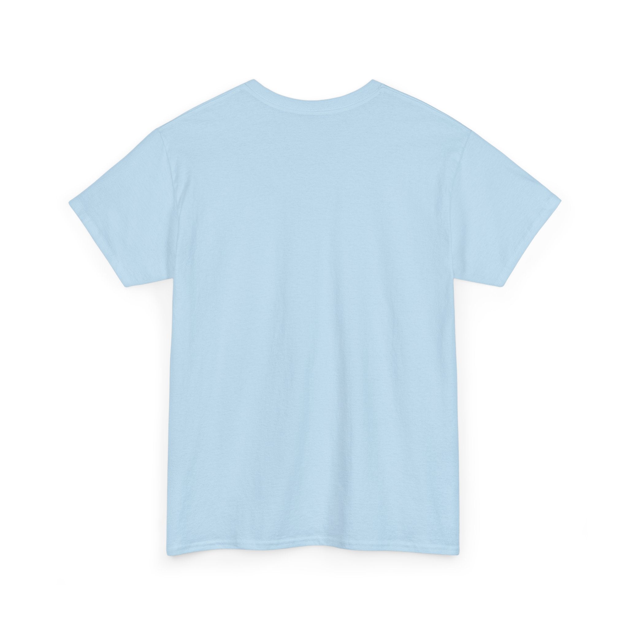 It's Okay Hummingbird T-Shirt